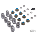Star Racing 640 ME17-UP spring kit