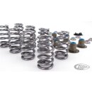 Star Racing 640 ME17-UP spring kit