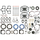5Pck Left side crankcase seal FL1969