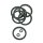 DOT5 Seal kit Billet Big-6 (6pack) 31mm