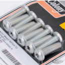 Disc Rotr Torx Scrs FLH/T2014-up Zinc