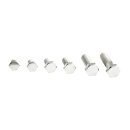 HEX BOLT POLISHED SS 3/8-16 X 1 1/2