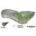 RR fender 180-200 tire ST18-up