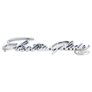 Electra Glide front fender emblems