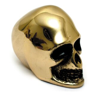 SKULL KNOB POLISHED DECORATION