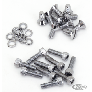 Colony Primary cover screw kit 85-98