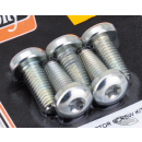 Disc screw kit RR All97-up Spk Zinc