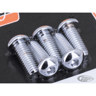 Disc Allen Screw Kit FX79-91 +