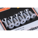 Disc Screw kit, dual FX/XL78-82 Chr