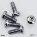 Disc screw set 5/16-18x7/8" TXBH chrome