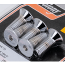 Disc Rotor Allen Scrws FLT80-81 Chr