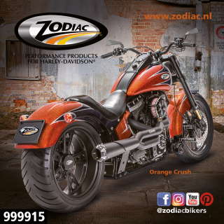 10Pck Zodiac Orange Crush sticker