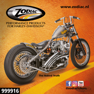 10Pck Zodiac The Naked Truth sticker