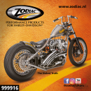 10Pck Zodiac The Naked Truth sticker