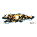 Skull shread left decal 2 3/4"x8 1/8"