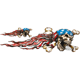 USA SKULL RIGHT 3"X10"