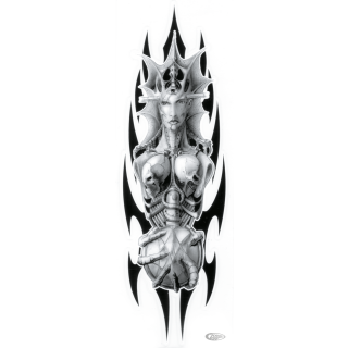 Bio Mechanical Girl 2.7X8.3