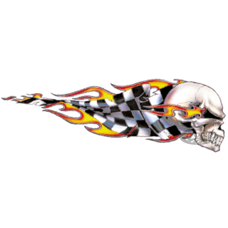 Checkered skull right decal 2.6"x7.53"