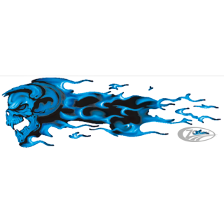 BLUE FURY LEFT 3"X10"