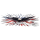 Eagle burst decal 2.7"x7.5"