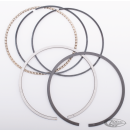 Repl.Ring Set for 110 BigBoreSleeperkit