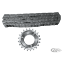 GZP 1.7:1 ratio primary chain kit FLH/T9