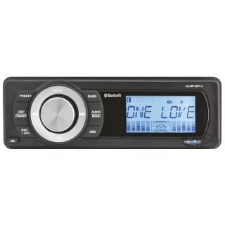 Aquatic Bluetooth Basic Radio für Harley FLH/T 98-13