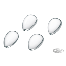 GZP Chrome Teardrop Concho