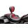 LePera Outcast GT for FLH/T08-up