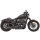 Rear passenger peg mount with clevis
