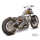 RADICAL RADIUS XL04-UP CHROME BLACK TIPS