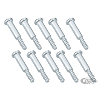 GZP 10pck Screw taillight lens mounting