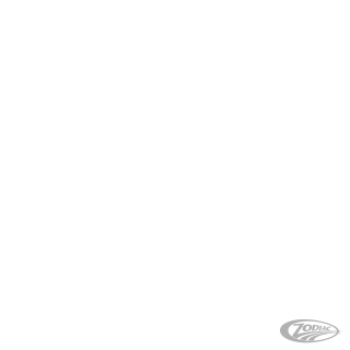 BEVELED LICENSE FRAME CH