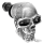 GZP Chrome license plate skull ornament