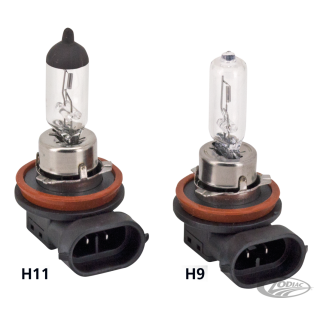 GZP 10Pck Hi beam bulb H9 12V 65W