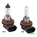 GZP 10Pck Hi beam bulb H9 12V 65W