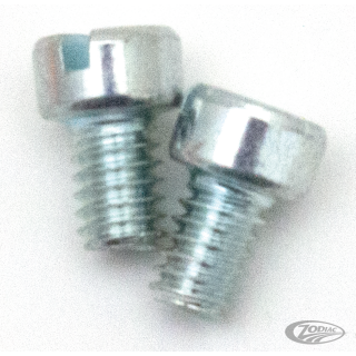 2pck Fillisterhead screw 8-32x1/4