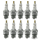10Pcs Champion dealerpack D14