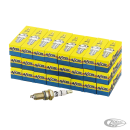 24pck ACCEL white Std sparkplugs 2410A
