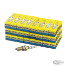 24pck ACCEL Platinum sparkplugs 2410P sh