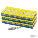 24pck ACCEL white Std sparkplugs 2418