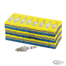 24pck ACCEL Platinum sparkplugs 2418P sh