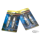 ACCEL white Platinum spark plugs 2418P,