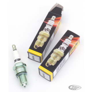 ACCEL white Platinum spark plugs 2410P