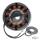 CompuFire Alternator rotor