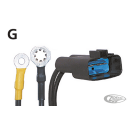 CE Regulator FXD99-03