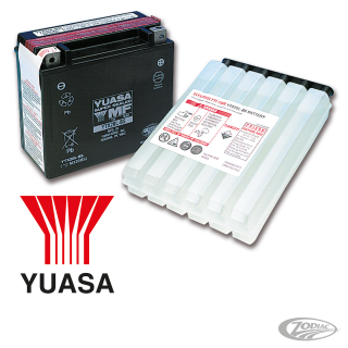 UN-2796 BAT.V-Force Maint.free YTX14L-BS