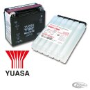 UN-2796 High Perf. battery YTX20HL-BS
