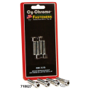 Allen screw Intake Manif BT90-up XL74-85