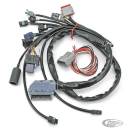 S&S Universal EFI/VFI wiring harness